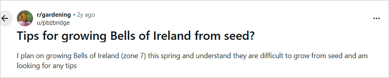 Tips for growing irish bells