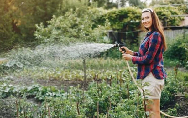 Watering the garden in the right way